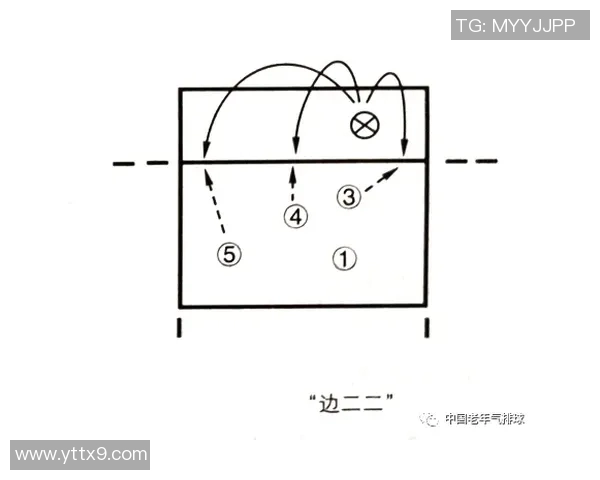 西安排球队的战术变革与未来发展趋势深度解析